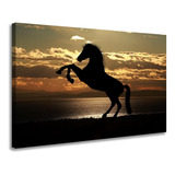 Quadro Decorativo Cavalo Negro Horse Hd 105x60 Quarto Sala