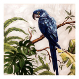 Quadro Decorativo Tela À Oléo Arara Azul 100x100
