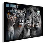 Quadro Família De Leões Amor Sala C Vidro E Moldura Premium