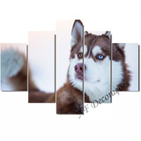 Quadro Husky Siberiano Decorativo Filhote Cachorro 06mmmdf