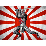 Quadro Ninja Samurai Artes Marciais Japonesa