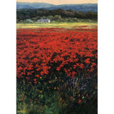 Quadro Pintura A Oleo Sobre Tela Decoracao Campo De Papoula