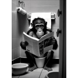 Quadro Poster Decoração Macaco Sentado Vaso