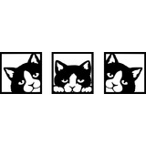 Gato
