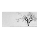 Quadro Sala Quarto Canvas Foto Galhos Árvore Branco 195x90cm