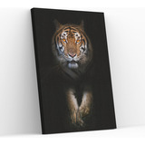 Quadro Tela Canvas Tigre Colorido Animais