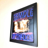 Quadro Temple Of The Dog Capa Disc De Vinil Lp E Cd Premium