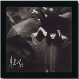 Vinil