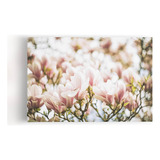 Quadros Canvas Flores Coloridas Fotografia 60x40cm