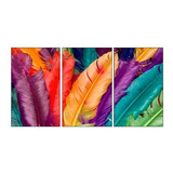 Quadros Decorativo Penas Coloridas Aves 3 Peças Lindo 