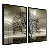 50x70