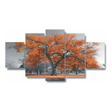 Laranja
