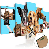 Quadros Decorativos Medicina Veterinária Cão Gato
