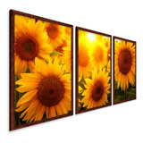 Quadros Decorativos Moldura Sala Quarto Flores Girassol