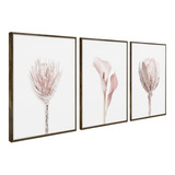 Quadros Decorativos Parede Rose Flores Sala Quarto Moldura