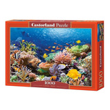 Reef