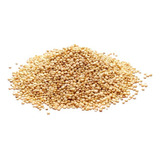 1kg