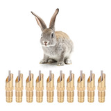Rabbit Waterer Nipple, 10 Unidades, Bebedouro Automático, Ág