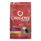 10,1kg