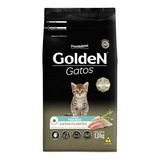 Gatinhos