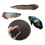 Ração Para Peixes Carnívoros, Pirarucu, Oscar E Outros
