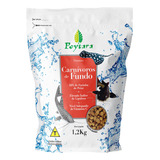 1,2kg
