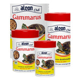 11g