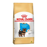 Ração Para Yorkshire Terrier Junior 2,5kg