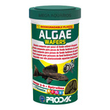 Algae