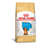 Ração Royal Canin Dachshund Junior 2,5kg Pett