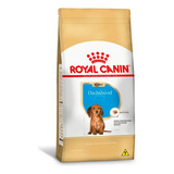 Ração Royal Canin Dachshund Para Cães Filhotes 2,5kg