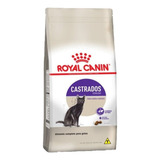 Ração Royal Canin Sterilised Gatos Adultos