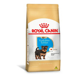 Ração Royal Canin Yorkshire Terrier Cães Filhotes 500g