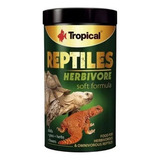 Pogona
