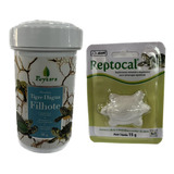 Ração Tartaruga Filhote 30g Poytara+ Suplemento Reptocal 15g