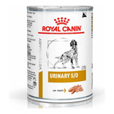 Canin