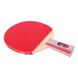 Raquete De Ping Pong Dhs 1006