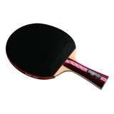 Raquete De Ping Pong Dhs 4002