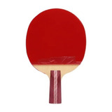 Raquete De Ping Pong Dhs 4006