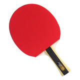 Raquete De Tênis De Mesa Dhs Clássica H1002 Ittf Approved