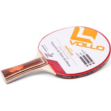 Raquete Ping Pong Profissional Tenis De Mesa Borrachas Ittf