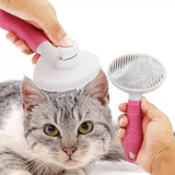 Cães