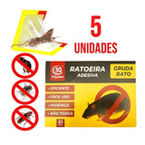 5pçs