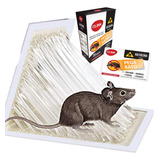 Ratoeira Adesiva Cola Rato Adesivo Para Rato Pega Rato 5un