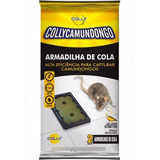 Ratoeira Adesiva Cola Rato Camundongo - Colly - Emb. 02 Unid