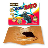Ratoeira Adesiva Cola Rato Controle De