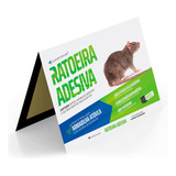 Ratoeira Adesiva Pega Cola Rato - Kit Com 10 Unidades