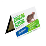 Unidades