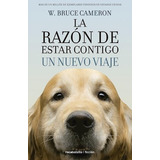 Ficcion
