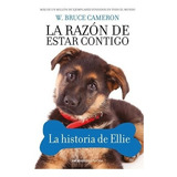 Coleccion